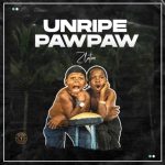Zlatan Unripe Pawpaw Mp3 Download