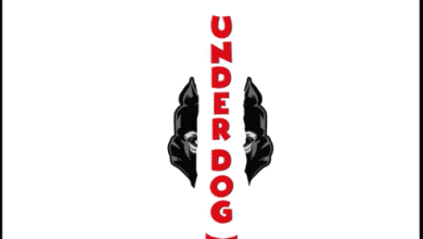 soft underdog mp3 download