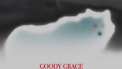 Goody Grace ft. Burna Boy – Winter Mp3