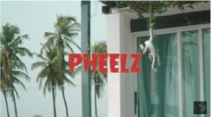Pheelz Somebody video